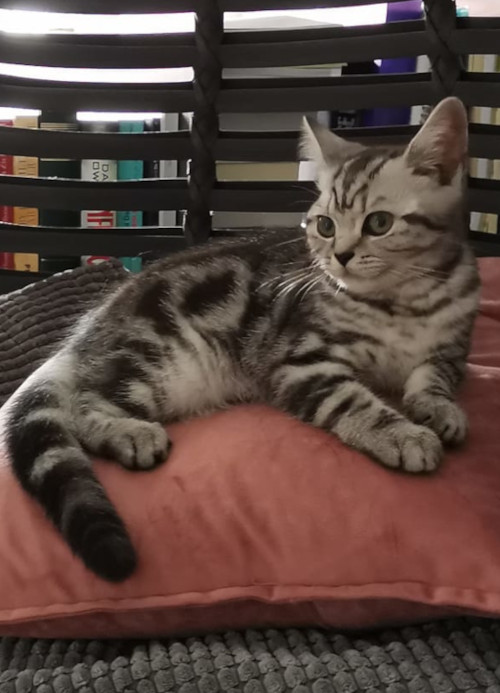Foto Sabine